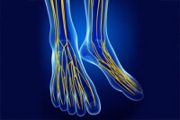 Possible Symptoms of Poor Circulation
